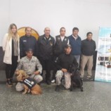 La Escribanía de Gobierno de la Provincia de Salta certificó canes que trabajan operativamente en la búsqueda y detección de sustancias estupefacientes